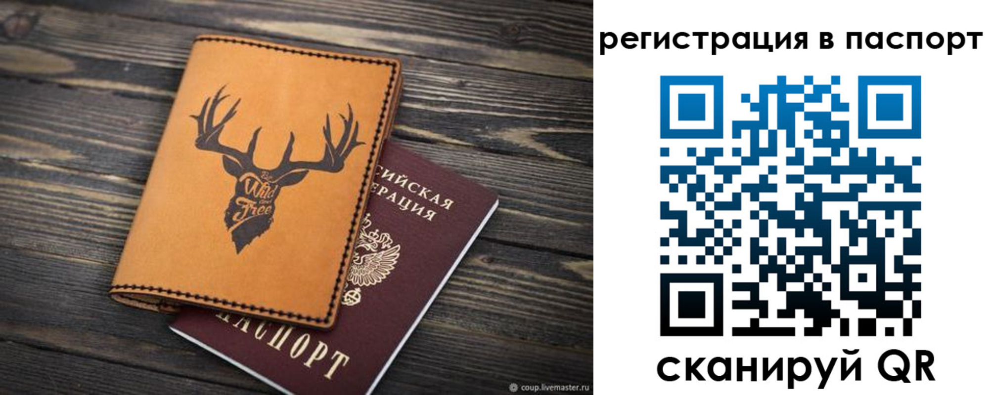 прописка паспорт в Благодарном